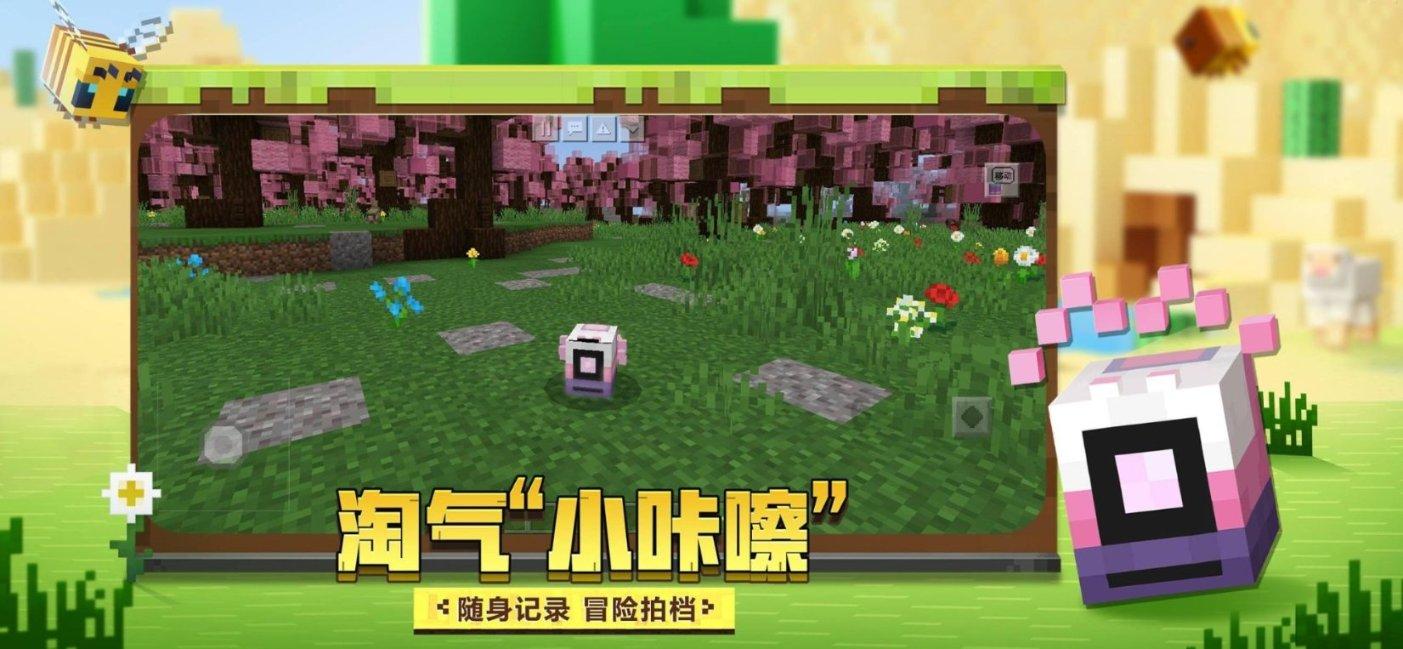 专业问答网站微信为什么没有二十的充值面额?,快速获得精准答案