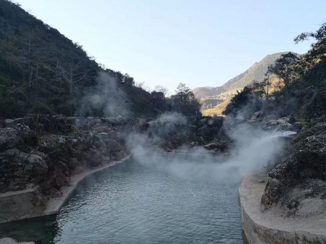 乌冬的旅店月桂长裙游戏画面
